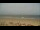 Webcam on Norderney, 0.1 mi away