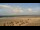 Webcam on Norderney, 0.1 mi away
