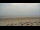 Webcam in Norderney, 0.2 km