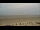 Webcam on Norderney, 0.3 mi away