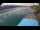 Webcam in Millstatt, 3.7 mi away