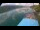 Webcam in Millstatt, 9.8 km entfernt