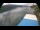Webcam in Millstatt, 4.4 km