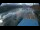 Webcam in Millstatt, 9.7 km