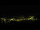 Webcam in Völkermarkt, 3.1 mi away