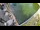 Webcam in Hofgeismar, 10.7 mi away