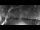 Webcam in Lipsia, 14.9 km