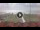 Webcam in Forte dei Marmi, 2.2 km entfernt
