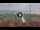 Webcam in Forte dei Marmi, 12.4 km