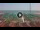 Webcam in Forte dei Marmi, 0.2 mi away