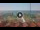 Webcam in Forte dei Marmi, 0.2 mi away