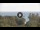 Webcam in Lacona (Elba), 5.6 km entfernt