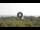 Webcam in Lacona (Elba), 2.4 mi away