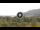 Webcam in Lacona (Elba), 5.6 km
