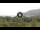 Webcam in Lacona (Elba), 2.2 mi away