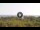 Webcam in Lacona (Elba), 2.5 mi away