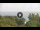Webcam in Lacone (Île d'Elbe), 14.3 km