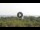 Webcam in Lacona (Elba), 6.3 km entfernt