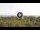 Webcam in Lacona (Elba), 5.5 mi away