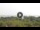 Webcam in Lacona (Elba), 5.6 km