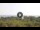 Webcam in Lacona (Elba), 2.5 mi away