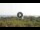 Webcam in Lacona (Elba), 5.6 km entfernt