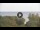 Webcam in Lacone (Île d'Elbe), 7.2 km