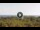 Webcam in Lacona (Elba), 12.9 km
