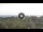 Webcam in Lacona (Elba), 15.8 mi away