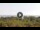 Webcam in Lacona (Elba), 6.6 km
