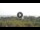 Webcam in Lacona (Elba), 5.6 km entfernt