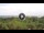 Webcam in Lacona (Elba), 7.2 km