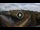 Webcam in Firenze, 21.3 km