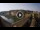 Webcam in Florence, 0.1 mi away