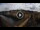 Webcam in Florence, 0.2 mi away