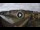 Webcam in Florence, 0.2 mi away