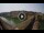 Webcam in Florencia, 0.6 km