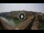 Webcam in Florencia, 13 km