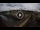 Webcam in Florencia, 50.5 km