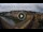 Webcam in Firenze, 0.4 km