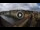 Webcam in Firenze, 0.2 km
