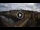 Webcam in Florencia, 1 km