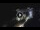 Webcam in Pisticci, 59.7 km
