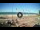 Webcam in Chiclana de la Frontera, 13.3 km entfernt