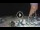 Webcam in Marina di San Vito, 9 mi away