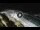 Webcam in Bajamar (Tenerife), 466.7 km
