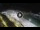 Webcam in Bajamar (Tenerife), 5.3 mi away