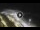 Webcam in Bajamar (Tenerife), 5.3 mi away