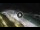 Webcam in Bajamar (Tenerife), 461.1 km