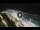 Webcam in Bajamar (Teneriffa), 480 km entfernt